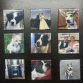 9 Custom Photo Magnets - $29.99
